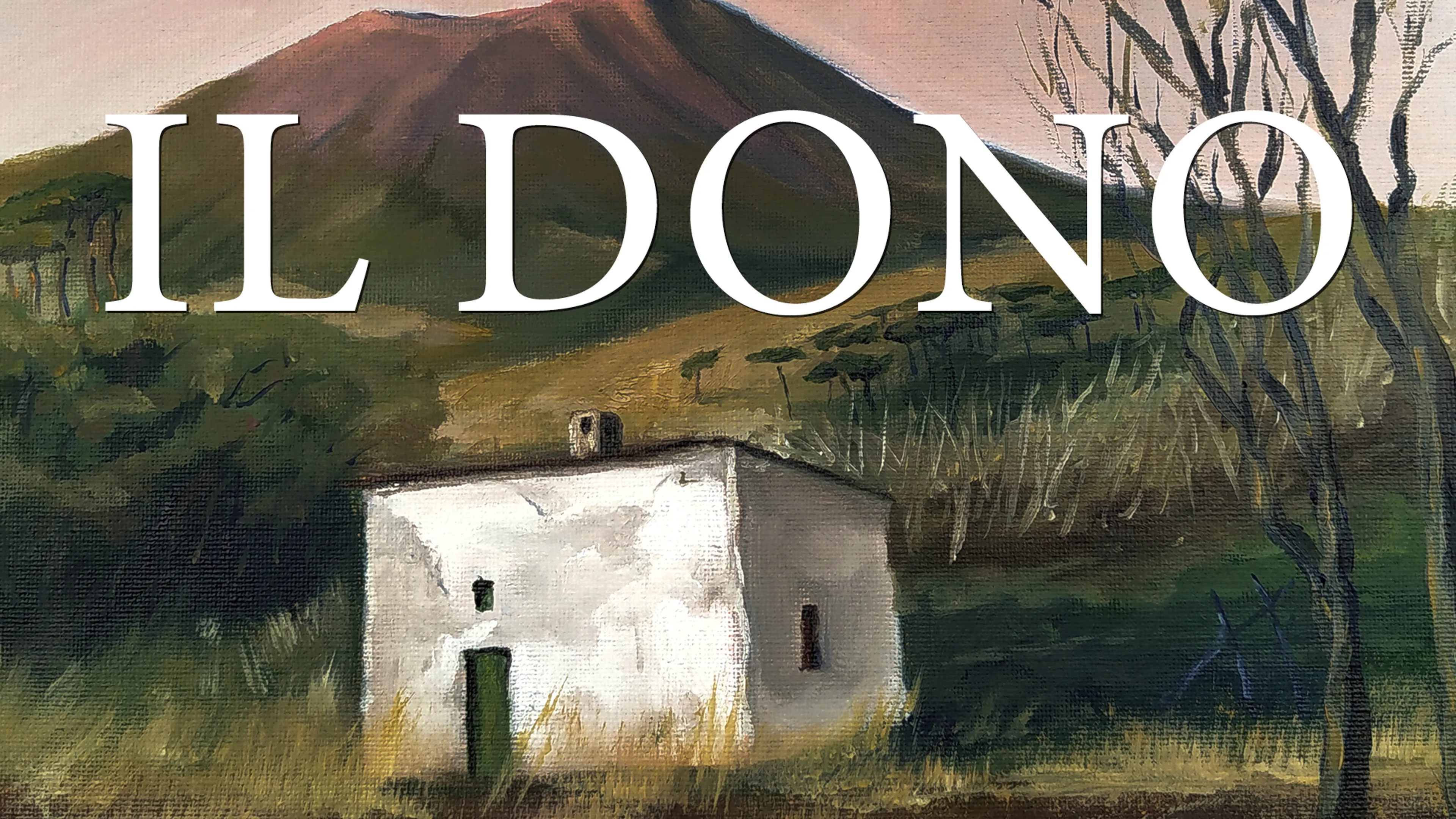 IL Dono poster